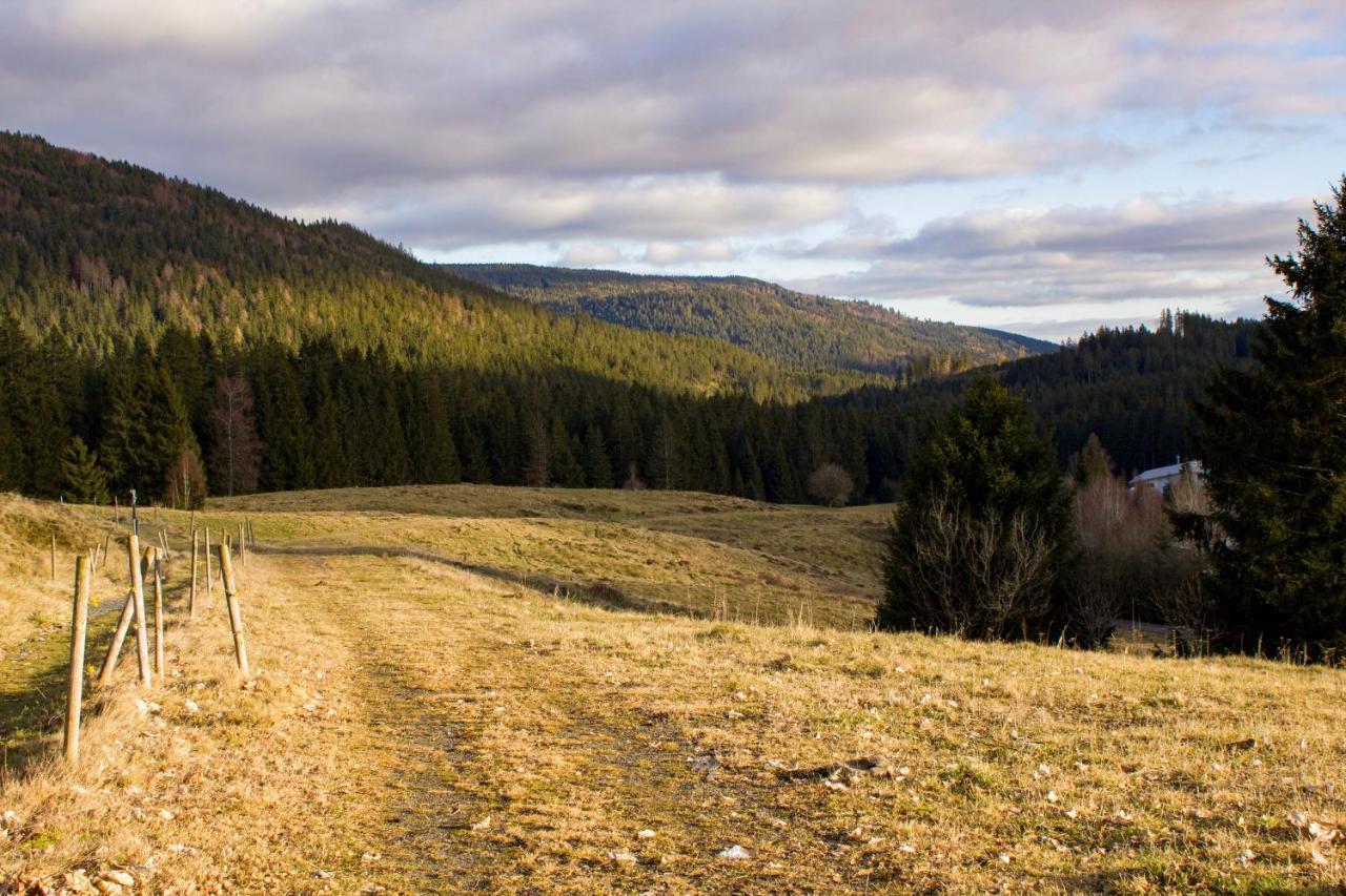 Gemuetliche Ferienwohnung - Mitten Im Schwarzwald ベルナウ・イム・シュヴァルツヴァルト エクステリア 写真