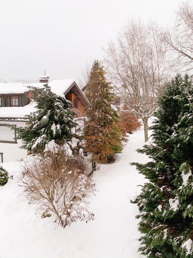 Gemuetliche Ferienwohnung - Mitten Im Schwarzwald ベルナウ・イム・シュヴァルツヴァルト エクステリア 写真