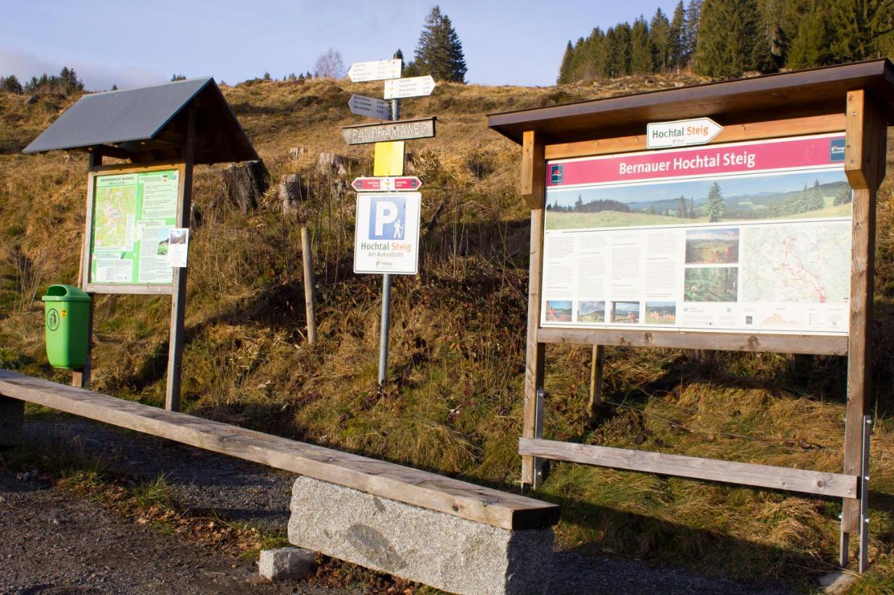 Gemuetliche Ferienwohnung - Mitten Im Schwarzwald ベルナウ・イム・シュヴァルツヴァルト エクステリア 写真