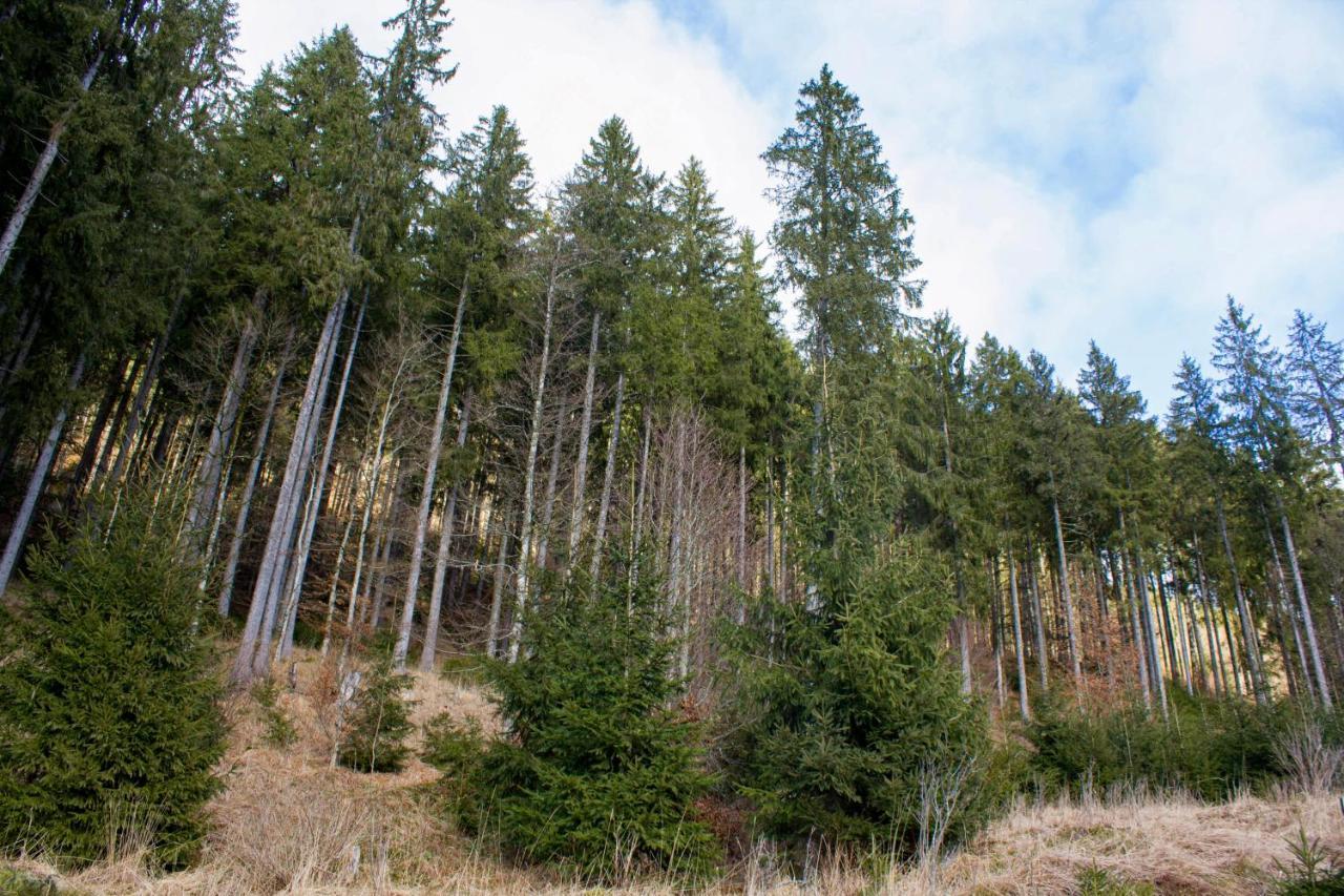 Gemuetliche Ferienwohnung - Mitten Im Schwarzwald ベルナウ・イム・シュヴァルツヴァルト エクステリア 写真