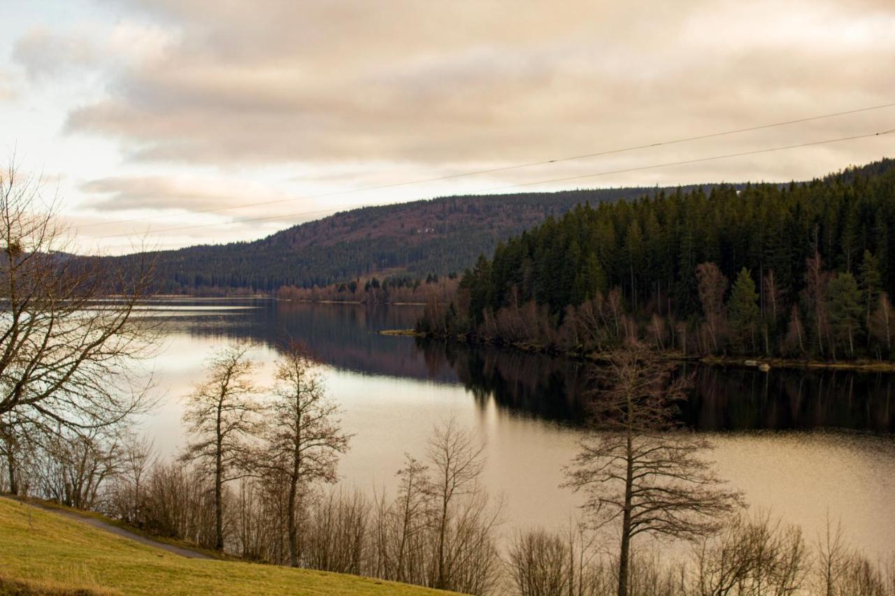 Gemuetliche Ferienwohnung - Mitten Im Schwarzwald ベルナウ・イム・シュヴァルツヴァルト エクステリア 写真